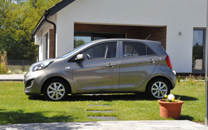 Kia Picanto cena 29900 przebieg: 95600, rok produkcji 2015 z Jutrosin małe 172